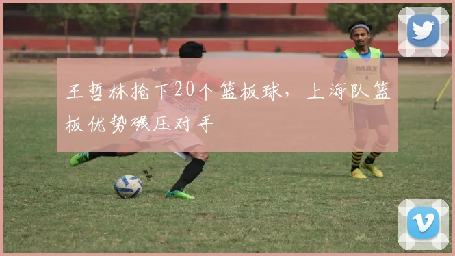 王哲林抢下20个篮板球，上海队篮板优势碾压对手